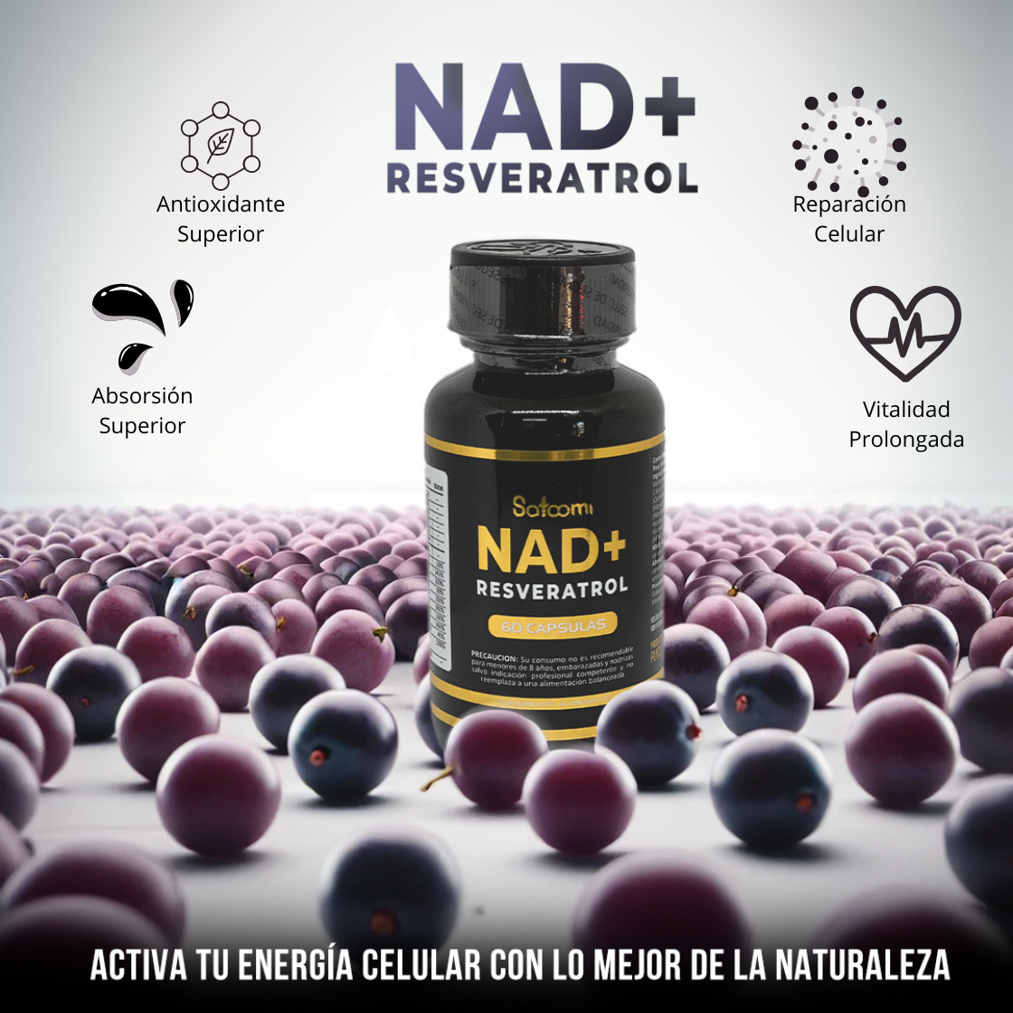 RESVERATOL NAD SATOOMI (X60 CAP)