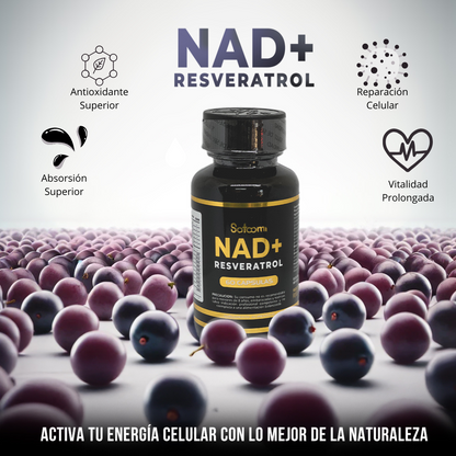 RESVERATOL NAD SATOOMI (X60 CAP)